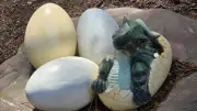 Dinopedia Parc lance sa saison à Champclauson avec une chasse aux œufs de dinosaures