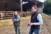 Diversification agricole en Charente : oléiculture et engraissement bovin comme leviers de résilience