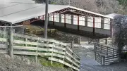 Effondrement d'un hangar agricole en Espagne : 3 morts et 3 blessés