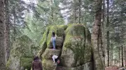 En Lozère, le sentier des Fées : 3,5 km de forêt et légendes locales