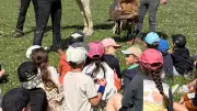 Enfants découvrent les traditions camarguaises à Montfrin