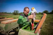 Engrais et GNR : le coup de massue sur les agriculteurs du Lot-et-Garonne