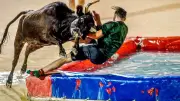 Feria d'Alès : le toro piscine interbandes, un jeu aquatique avec taureaux