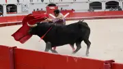 Feria d'Alès : nouveaux horaires pour la corrida et la novillada du 16 mai