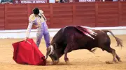 Feria de Béziers 2025 : Castella torée trois corridas pour ses 25 ans d'alternative