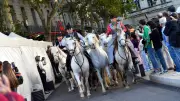 Feria des Vendanges à Nîmes : cavaliers, Carmen et concerts au programme