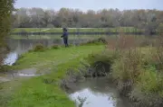 Festival Ville(s) : conférences gratuites sur la ville et la nature