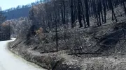 Feu des Corbières : un spécialiste de l'Inrae juge le sinistre inédit en France