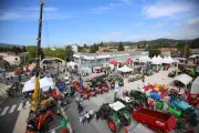 Foire de Brignoles : Parkings, Navettes, Billets, Tout Savoir Avant l'Événement