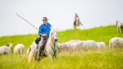 Frédéric Fourmaud, figure emblématique de la Camargue, s'est éteint à 67 ans