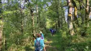 Fête annuelle à Pimbo le 2 mai 2026 avec l'association Kukurbistan