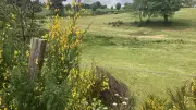Gel en Lozère après la canicule : explication du phénomène de trou à froid