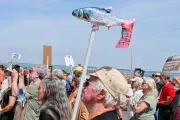 Gironde : la mobilisation contre la ferme à saumons ne faiblit pas
