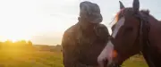 Guerre en Ukraine : l'armée russe envisage de déployer des chevaux sur le front