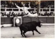Hommage à Arthur Ribeiro : une journée taurine exceptionnelle organisée par le club Jérôme Atano