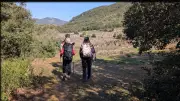 Hérault : une randonnée gourmande mêlant vin, truffes et patrimoine