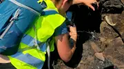 Incendie dans l'Aude : Wany the Pooh sauve les animaux rescapés du mégafeu