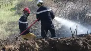 Incendie dans le Gard : 6 000 m² de vigne en friche ravagés près de Saint-Gervais
