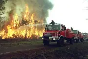 Incendie de Moustey en 2003 : 600 hectares de pins ravagés par un feu de tracteur forestier