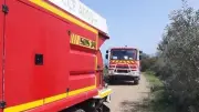 Incendie près de Lunel : des chevaux sauvés in extremis à Lansargues