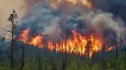 Incendies en Europe : plus d'un million d'hectares brûlés en 2025