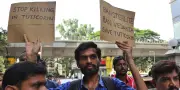 Inde : explosion dans une centrale électrique, neuf morts et quinze blessés