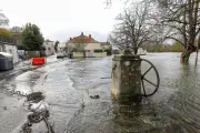 Inondations en Charente-Maritime : un paradoxe bénéfique pour la biodiversité aquatique