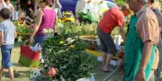 Jardin sur Ciron : une journée dédiée au végétal et à la convivialité à Pujols-sur-Ciron