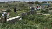 Jardins solidaires à Lespignan : cultiver et apprendre au fil des saisons