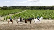 Journée immersive aux écuries du château Paul-Mas le 26 avril