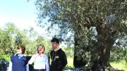 Katy Guyot visite une oliveraie bio gardoise pour soutenir l'agriculture locale