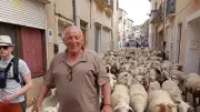 La 11e transhumance Villeveyrac-Mèze attire plus de 600 marcheurs derrière le troupeau