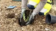 La CAHM entretient les espaces verts de Vias avec soin et durabilité