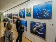La Cité de l'Océan à Biarritz enrichit son parcours avec deux nouvelles expériences immersives
