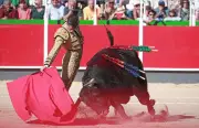 La corrida de La Brède menacée par des recours judiciaires avant sa tenue le 20 juin