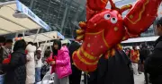 La folie OpenClaw en Chine révèle la stratégie IA du pays