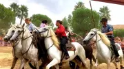 La Féria de Printemps de Servian : Retour des Traditions Camarguaises le 9 Mai