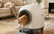 La litière autonettoyante Devoko révolutionne l'entretien des chats avec ses 90 litres