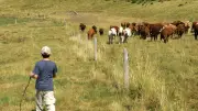 La Lozère à l'écran et ateliers numériques pour les vacances à Teyran