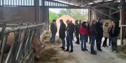 La MSA visite une exploitation innovante pour réduire la pénibilité des éleveurs