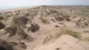 La plage de la Maïre à Sérignan : un joyau naturel protégé par le Conservatoire du littoral