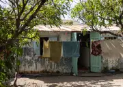 À La Réunion, les cases en bois sous tôle, un cache-misère face aux infiltrations d'eau
