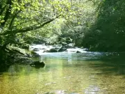 L'association de pêche APRN affiche une hausse de 14% des adhérents en 2025