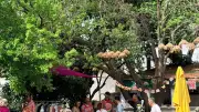 L'Atelier des Frangines 34 lance un appel aux créateurs pour son marché du 1er mai