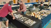 Le 6e Salon du Coquillage illumine Abeilhan avec ses trésors marins et terrestres