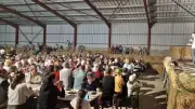 Le cabaret à la ferme de Bétirac séduit 450 spectateurs pour sa 4e édition