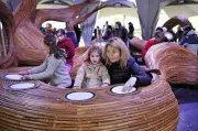 Le Carrousel Musical de l'Abbaye aux Dames : Une Expérience Sonore Unique