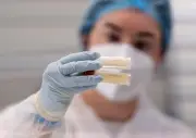 Le Cese propose une légalisation encadrée des tests ADN généalogiques