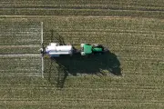 Le Conseil d'État annule l'accès aux registres de pesticides pour les citoyens