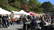 Le Dimanche Cochon de Berlou : une fête rurale qui attire les foules